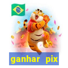 ganhar pix respondendo pesquisas